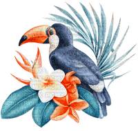 soave deco flowers bird  summer blue orange - PNG gratuit