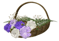 Bloemen en Planten - besplatni png