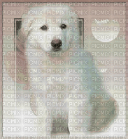 hund - Безплатен анимиран GIF