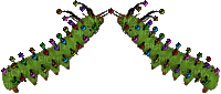rainbow lights caterpillars by larvalbug bytes - Bezmaksas animēts GIF