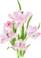 Animated.Flowers.Pink - By KittyKatLuv65 - Free animated GIF
