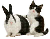 cat and rabbit by nataliplus - δωρεάν png