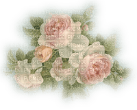 flores  dubravka4 - PNG gratuit