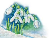snowdrops, winter - 免费PNG
