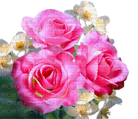 Y.A.M._Flowers - kostenlos png