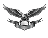 Kaz_Creations Logo Eagle - Free PNG