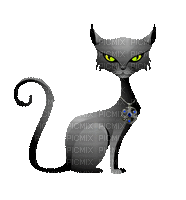 cat halloween-sorcier-chat noir
