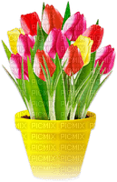 soave deco flowers vase garden tulips  spring - фрее пнг
