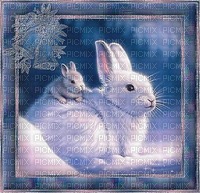 lapin rabbit - PNG gratuit