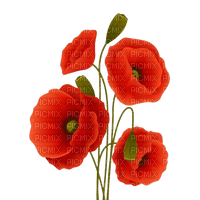 fleurs coquelicot - 無料png
