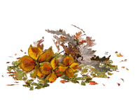 autumn automne deco - PNG gratuit