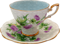 cup by nataliplus - png grátis