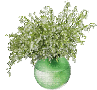 Bloemen en planten - Ilmainen animoitu GIF