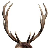 antlers - Free PNG