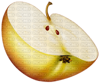 apple slice - zdarma png