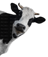 cow per request - gratis png