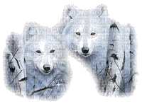loups blanc - Gratis animerad GIF