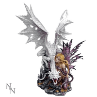 fairy and dragon - zdarma png