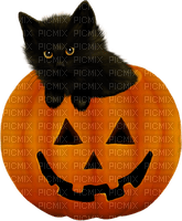 Kitten.Halloween.Black.Orange - Free PNG