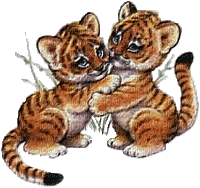 Kaz_Creations Tigers Cubs Animated - GIF animate gratis