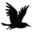 ворона - Бесплатный анимированный гифка