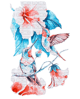 soave deco bird flowers hummingbird blue orange - Free PNG