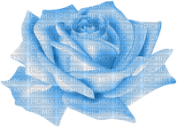 Róża niebieska - PNG gratuit