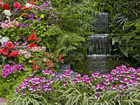 MMarcia gif jardim garden - Darmowy animowany GIF
