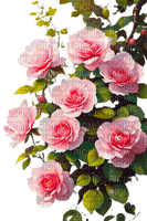 loly33 fleur rose - ingyenes png