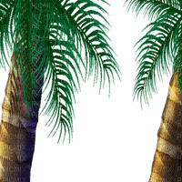 palm tree frame 🌴🌴cadre paume