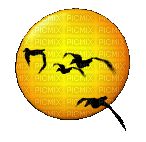 Bird, Birds, Animal, Animals, Moon, Moons, Yellow, Orange, Animation, GIF - Jitter.Bug.Girl - GIF animé gratuit
