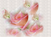 image encre fleurs roses mariage joyeux anniversaire edited by me