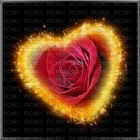 Rose in Gold Heart - zadarmo png