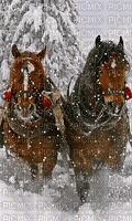 MMarcia gif inverno cavalos horses   les chevaux fundo - GIF animado gratis