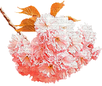 Y.A.M._Japan Spring Flowers Decor - Безплатен анимиран GIF