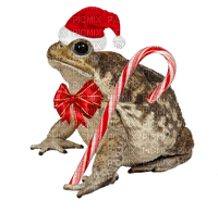 toad with candycane and ribbon - Free PNG
