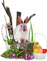 Easter deco - zadarmo png