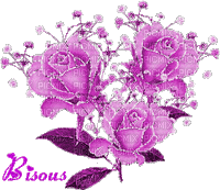 Fleurs roses - Besplatni animirani GIF
