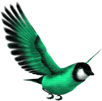 vogel bird - Free PNG