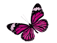 Mariposa - δωρεάν png