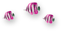 Fish.Green.Pink.White - 免费PNG