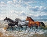 chevaux qui galopent - nemokama png