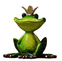 sammakko, frog - бесплатно png