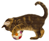 Cat playing with ball - PNG gratuit