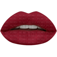 Lips dm19 - png gratis