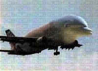 avion dauphins - PNG gratuit