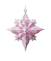 christmas deco star pink rox - PNG gratuit