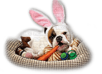 Kaz_Creations Dog  Pup Deco Easter - darmowe png