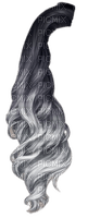 cheveux - ücretsiz png