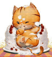 cat cake - Darmowy animowany GIF